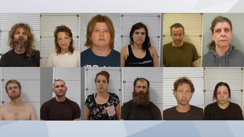 Fayette County Sting Operation
(FROM LEFT TO RIGHT - Michael Wayne Forbes, Kristy Ranae Heidt,...
