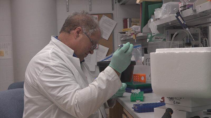 Researchers with University of Iowa Healthcare have been reviewing ways to attack a rare form...