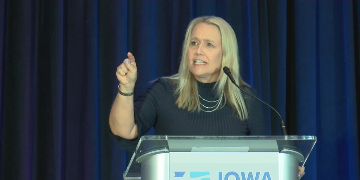 Election 2024: How Iowa’s abortion law could affect state legislature races Election 2024: How Iowa’s abortion law could affect state legislature races
