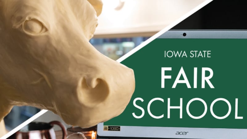 Iowa State Fair to offer butter sculpting class this month.
