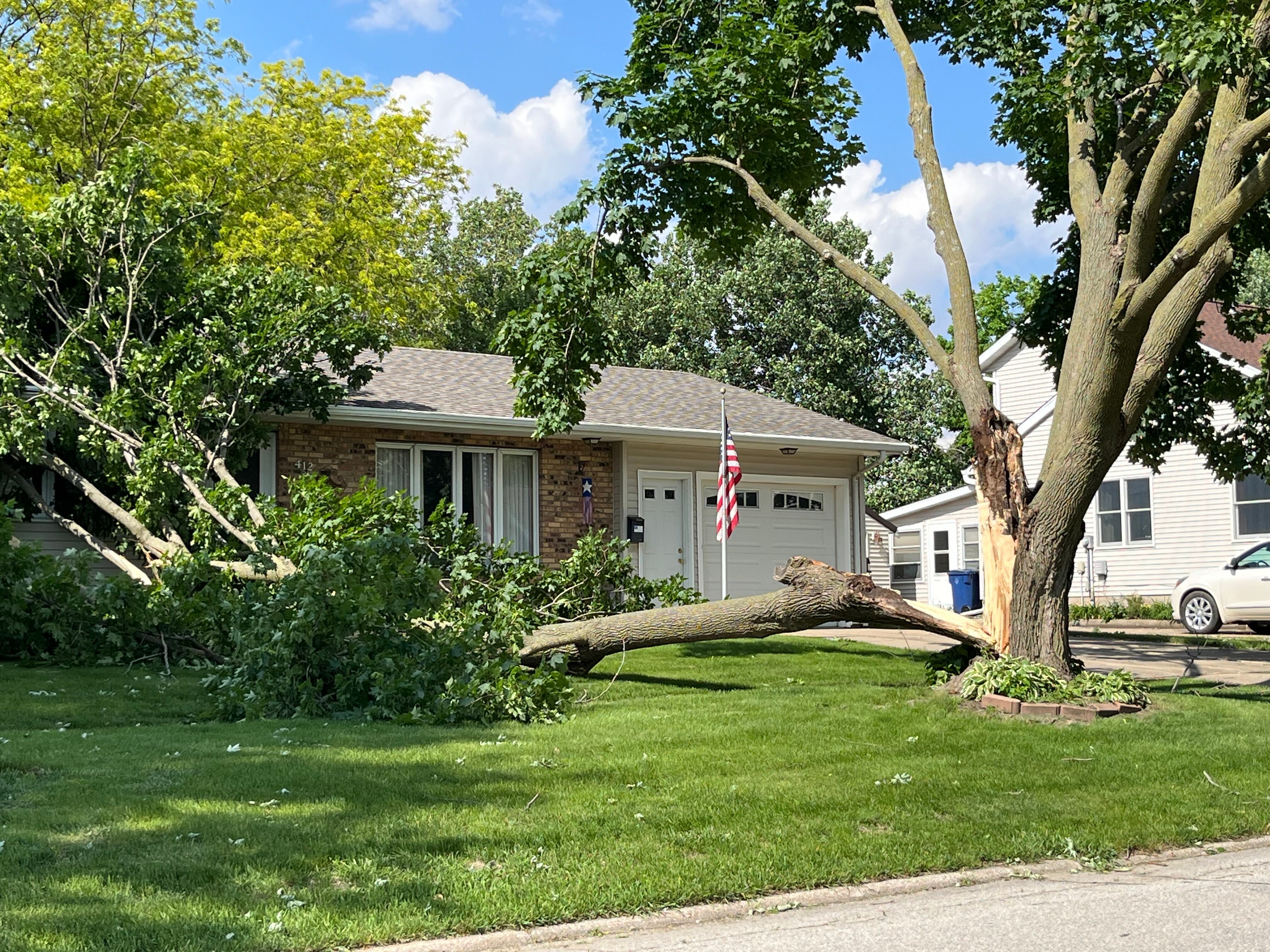 Cedar County working to clean up after storm leaves trees damaged, power lines down - Vimarsana News