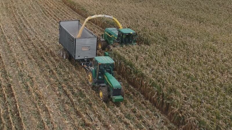 Farmhands harvest Craig Recker's cornfields in Dubuque County on Thursday, Oct. 10, 2019....